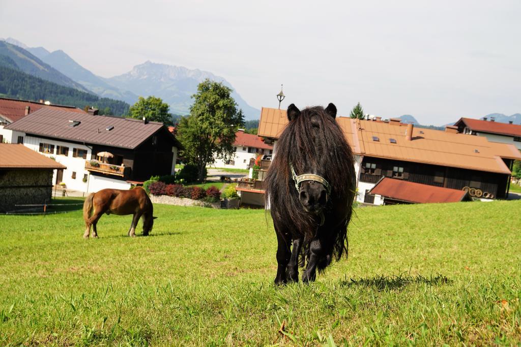 Haus Zauner Reit im Winkl Bagian luar foto
